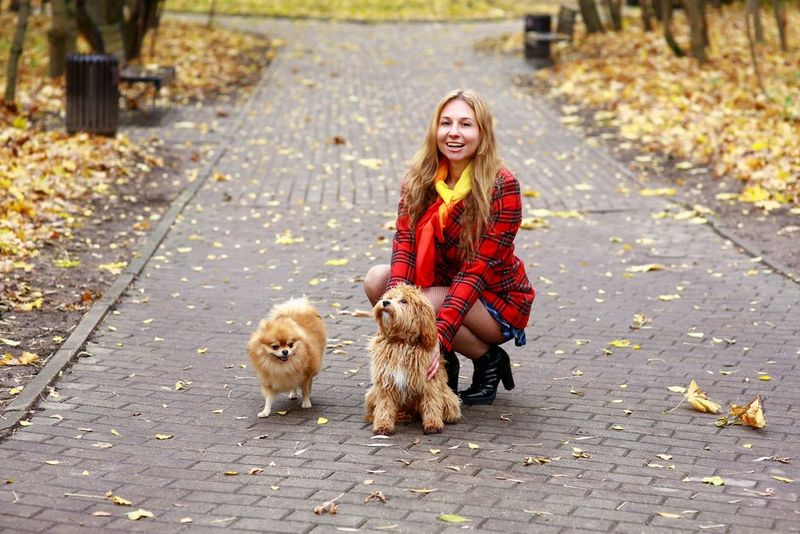紅葉の公園で犬と過ごす女性